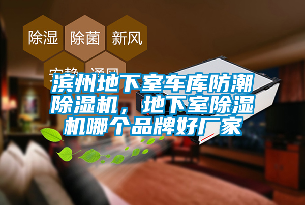 濱州地下室車庫防潮除濕機,地下室除濕機哪個品牌好廠家