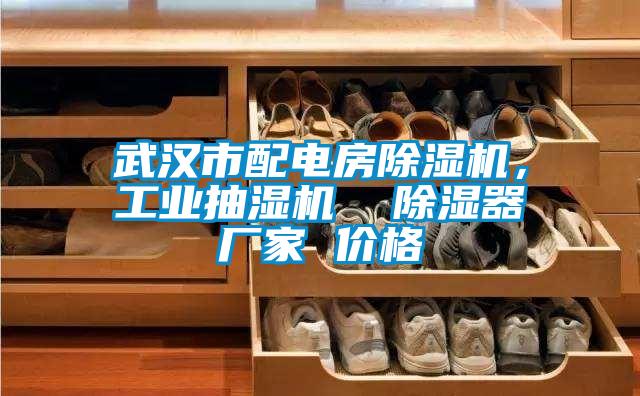 武漢市配電房除濕機,工業抽濕機 除濕器廠家 價格