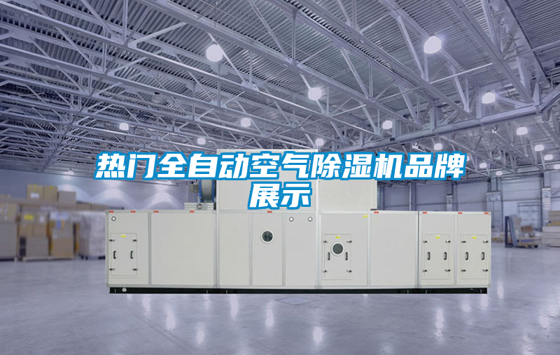 熱門全自動(dòng)空氣除濕機(jī)品牌展示