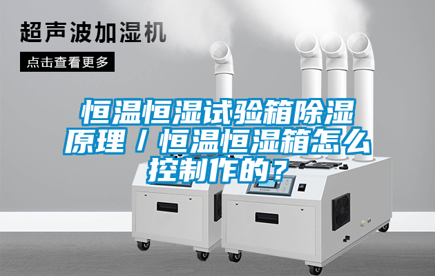 恒溫恒濕試驗箱除濕原理／恒溫恒濕箱怎么控制作的？