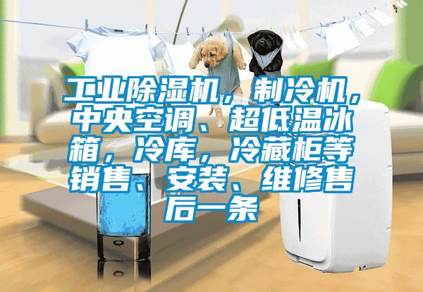 工業(yè)除濕機，制冷機，中央空調(diào)、超低溫冰箱，冷庫，冷藏柜等銷售、安裝、維修售后一條