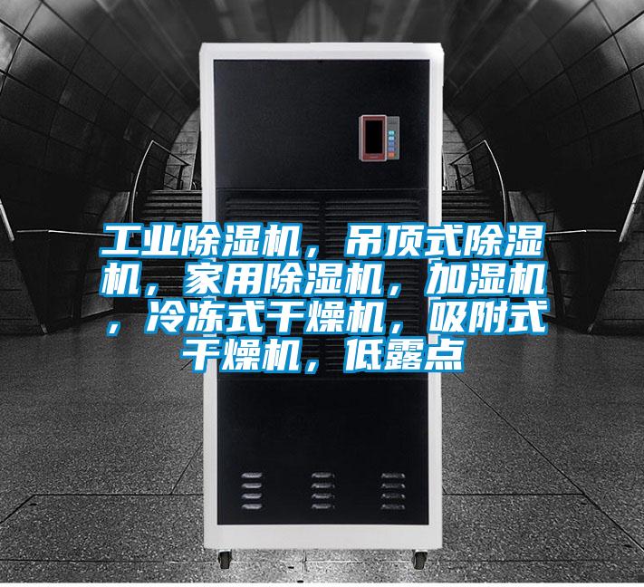 工業(yè)除濕機，吊頂式除濕機，家用除濕機，加濕機，冷凍式干燥機，吸附式干燥機，低露點