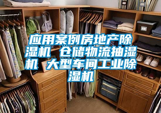 應(yīng)用案例房地產(chǎn)除濕機(jī) 倉(cāng)儲(chǔ)物流抽濕機(jī) 大型車(chē)間工業(yè)除濕機(jī)