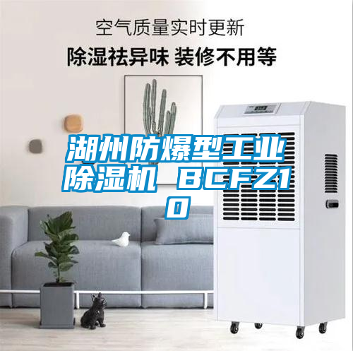 湖州防爆型工業(yè)除濕機 BCFZ10