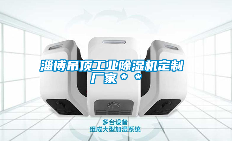 淄博吊頂工業除濕機定制 廠家**