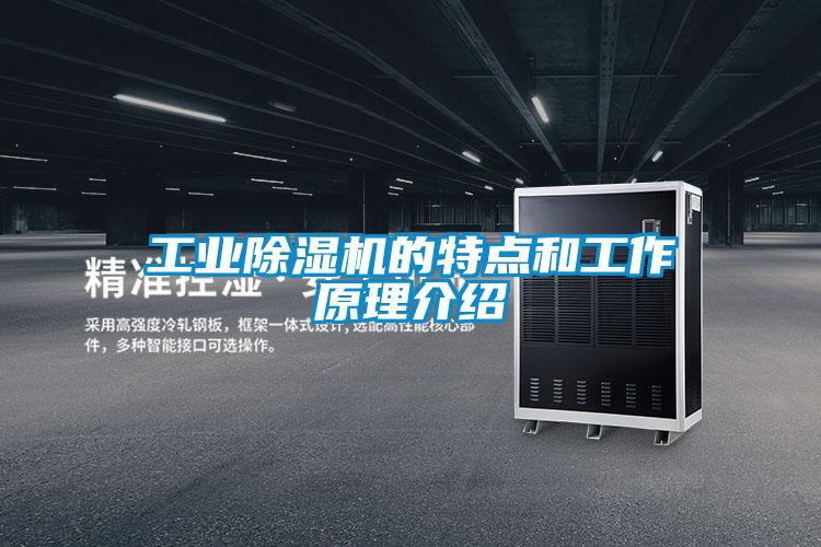 工業(yè)除濕機的特點和工作原理介紹