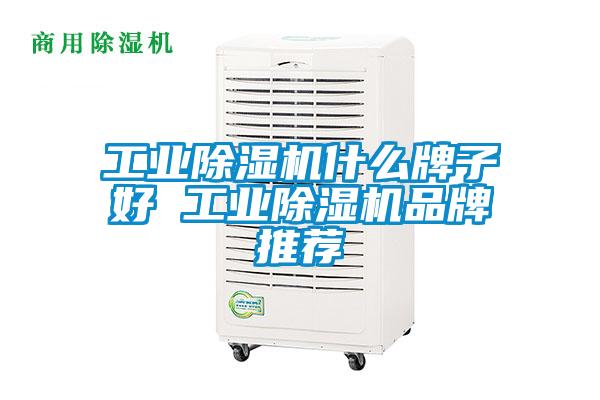 工業(yè)除濕機什么牌子好 工業(yè)除濕機品牌推薦