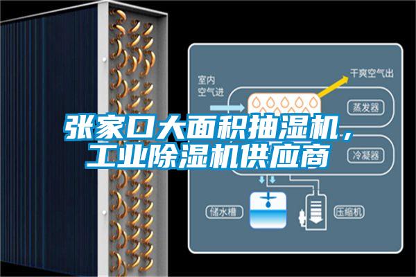 張家口大面積抽濕機,工業除濕機供應商