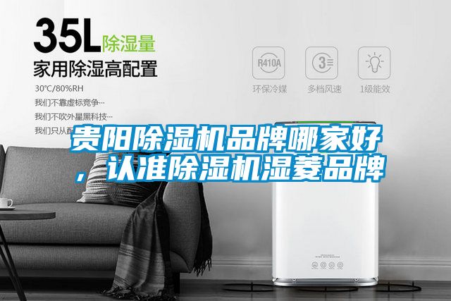 貴陽除濕機品牌哪家好,認準除濕機濕菱品牌