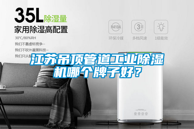 江蘇吊頂管道工業(yè)除濕機(jī)哪個(gè)牌子好?