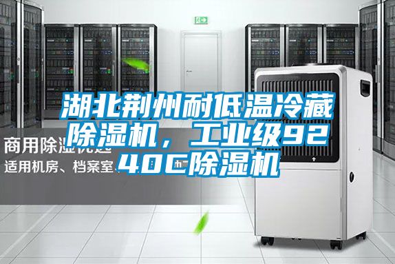 湖北荊州耐低溫冷藏除濕機,工業級9240C除濕機