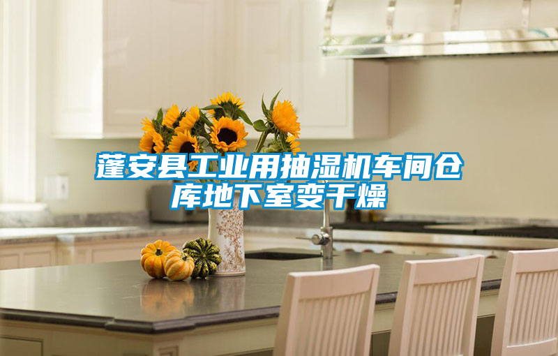 蓬安縣工業(yè)用抽濕機(jī)車間倉(cāng)庫(kù)地下室變干燥