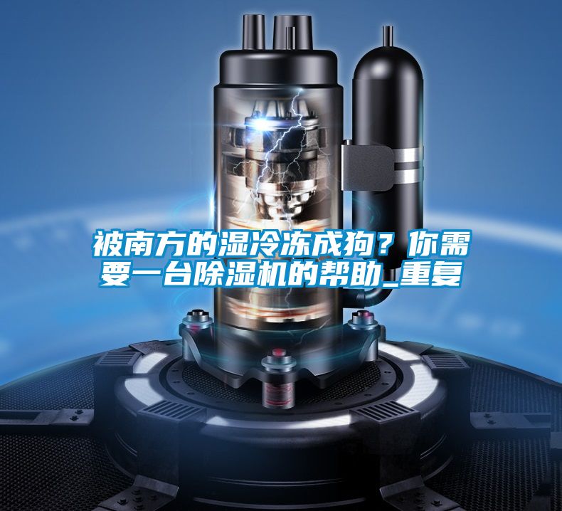 被南方的濕冷凍成狗？你需要一臺除濕機的幫助_重復