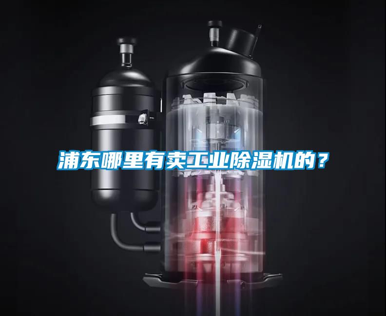 浦東哪里有賣工業(yè)除濕機的?