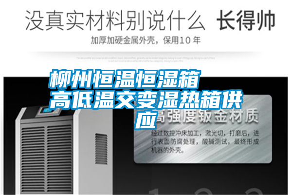 柳州恒溫恒濕箱 高低溫交變濕熱箱供應