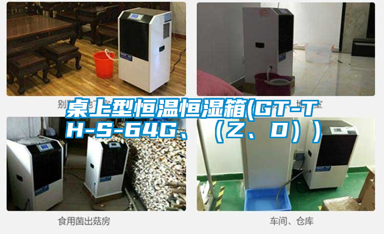 桌上型恒溫恒濕箱(GT-TH-S-64G、（Z、D）)