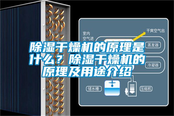 除濕干燥機的原理是什么?除濕干燥機的原理及用途介紹
