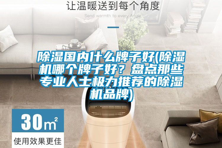 除濕國內什么牌子好(除濕機哪個牌子好?盤點那些專業人士極力推薦的除濕機品牌)
