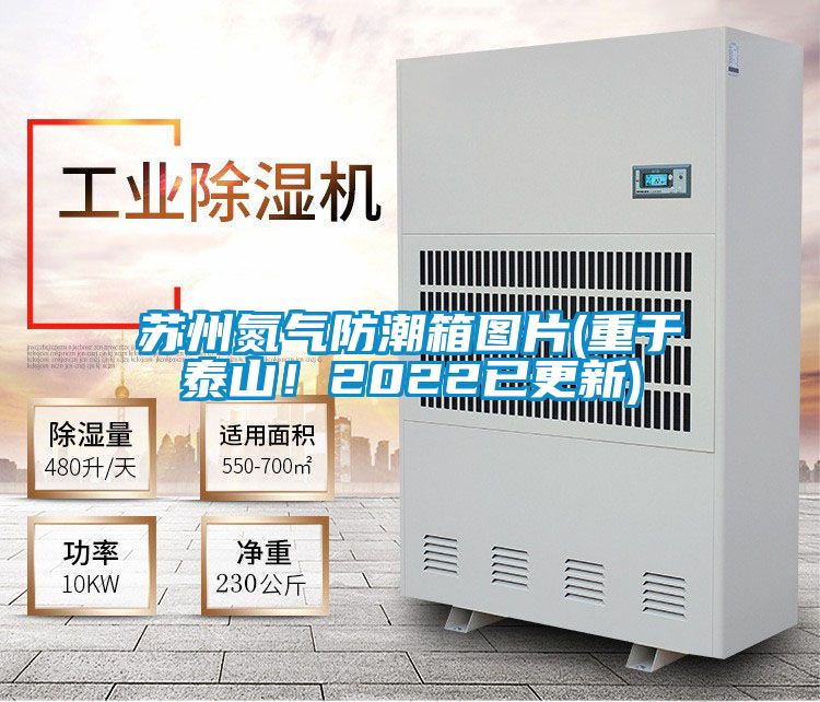 蘇州氮?dú)夥莱毕鋱D片(重于泰山!2022已更新)