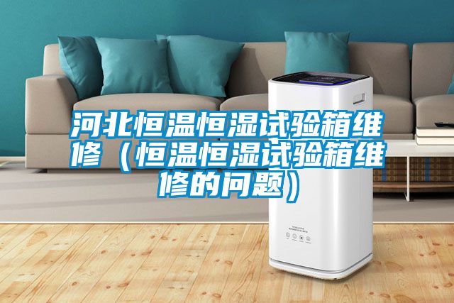 河北恒溫恒濕試驗(yàn)箱維修(恒溫恒濕試驗(yàn)箱維修的問(wèn)題)