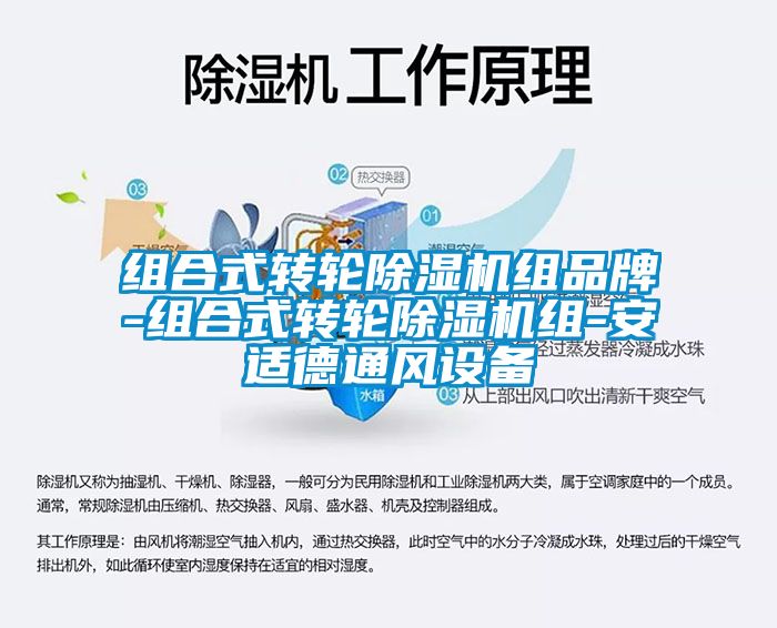 組合式轉輪除濕機組品牌-組合式轉輪除濕機組-安適德通風設備