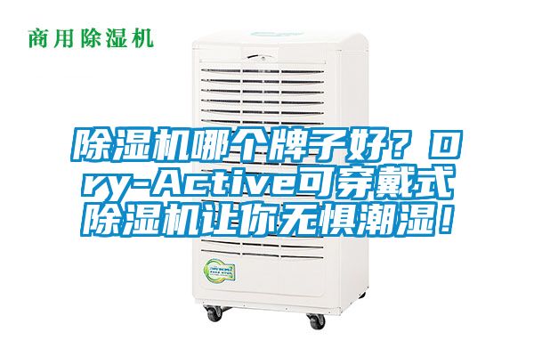 除濕機哪個牌子好？Dry-Active可穿戴式除濕機讓你無懼潮濕！