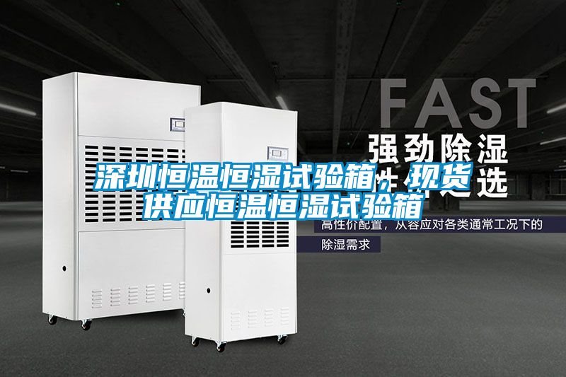深圳恒溫恒濕試驗(yàn)箱,現(xiàn)貨供應(yīng)恒溫恒濕試驗(yàn)箱