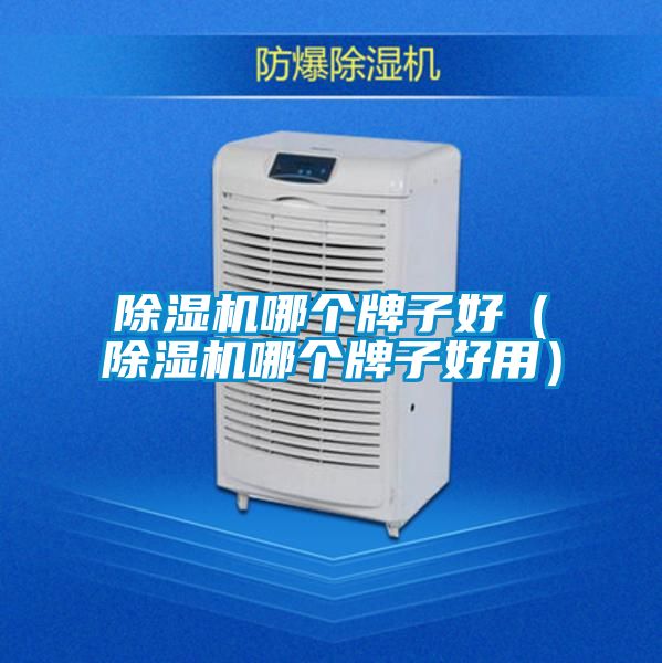 除濕機(jī)哪個牌子好(除濕機(jī)哪個牌子好用)