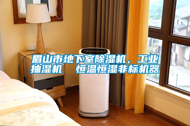 眉山市地下室除濕機,工業抽濕機 恒溫恒濕非標機器