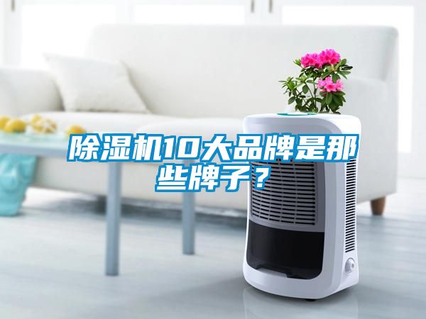 除濕機10大品牌是那些牌子？