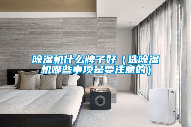 除濕機(jī)什么牌子好(選除濕機(jī)哪些事項(xiàng)是要注意的)