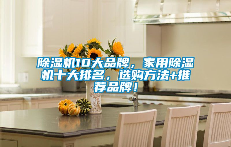 除濕機10大品牌,家用除濕機十大排名,選購方法+推薦品牌!