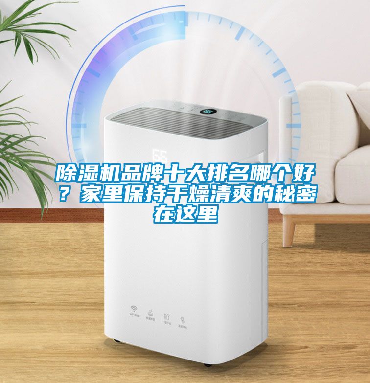 除濕機品牌十大排名哪個好?家里保持干燥清爽的秘密在這里