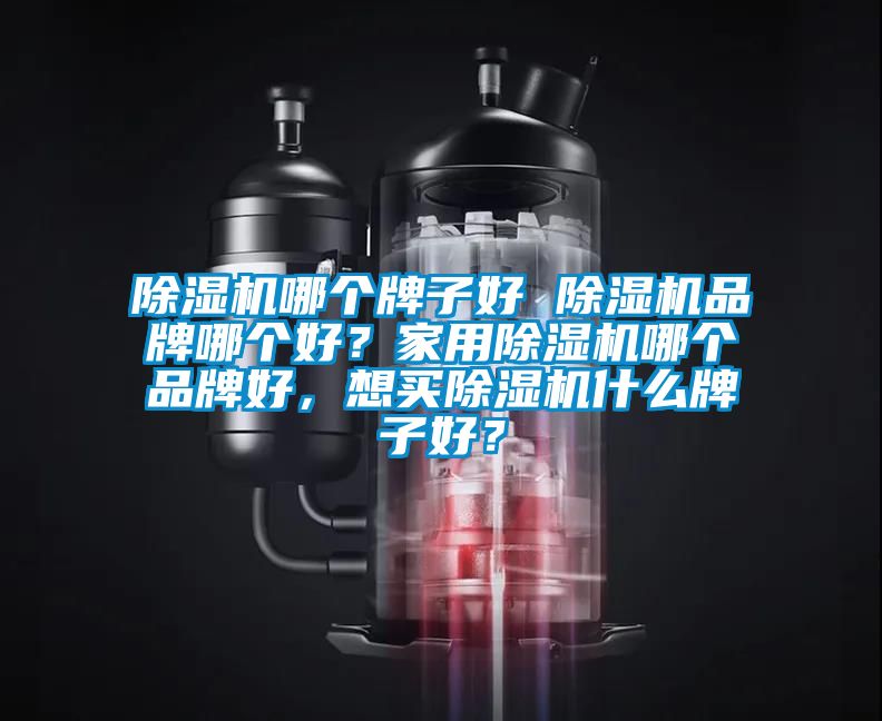 除濕機哪個牌子好 除濕機品牌哪個好？家用除濕機哪個品牌好，想買除濕機什么牌子好？