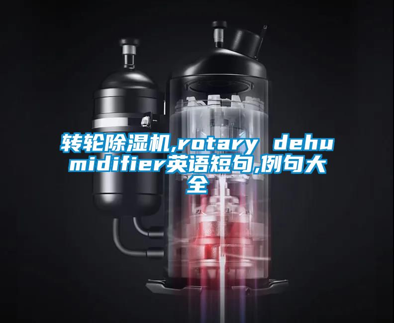 轉(zhuǎn)輪除濕機(jī),rotary dehumidifier英語短句,例句大全