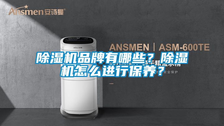 除濕機品牌有哪些？除濕機怎么進行保養？