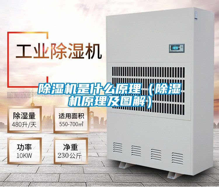 除濕機(jī)是什么原理(除濕機(jī)原理及圖解)