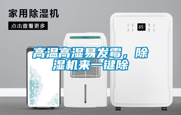 高溫高濕易發(fā)霉,除濕機來一鍵除