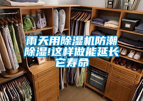 雨天用除濕機(jī)防潮除濕!這樣做能延長(zhǎng)它壽命
