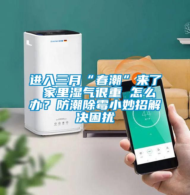 進入三月“春潮”來了 家里濕氣很重 怎么辦?防潮除霉小妙招解決困擾