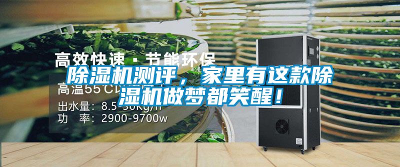 除濕機(jī)測(cè)評(píng)，家里有這款除濕機(jī)做夢(mèng)都笑醒！