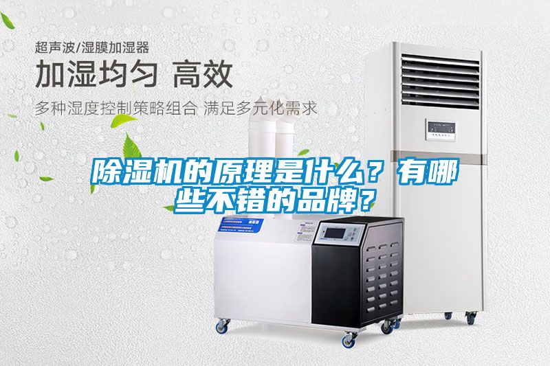 除濕機的原理是什么?有哪些不錯的品牌?