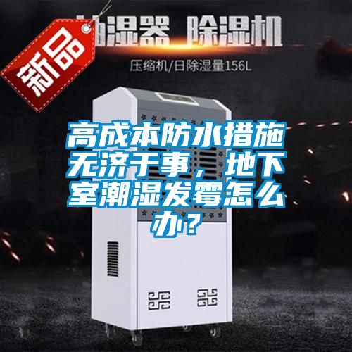 高成本防水措施無(wú)濟(jì)于事,地下室潮濕發(fā)霉怎么辦?