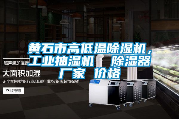 黃石市高低溫除濕機，工業抽濕機  除濕器廠家 價格