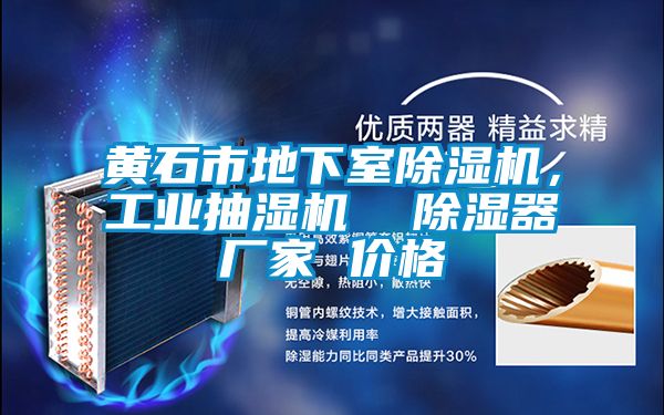 黃石市地下室除濕機，工業抽濕機  除濕器廠家 價格