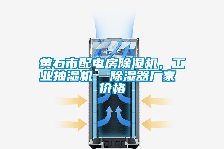 黃石市配電房除濕機，工業抽濕機  除濕器廠家 價格