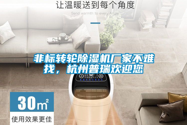 非標(biāo)轉(zhuǎn)輪除濕機廠家不難找,杭州普瑞歡迎您